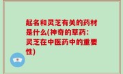 起名和灵芝有关的药材是什么(神奇的草药：灵芝在中医药中的重要性)