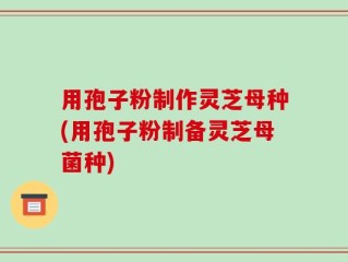 用孢子粉制作灵芝母种(用孢子粉制备灵芝母菌种)