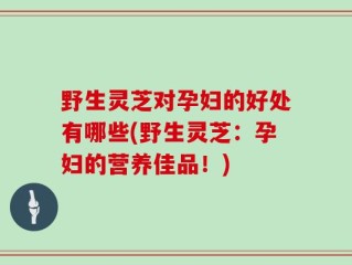 野生灵芝对孕妇的好处有哪些(野生灵芝：孕妇的营养佳品！)