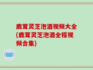 鹿茸灵芝泡酒视频大全(鹿茸灵芝泡酒全程视频合集)