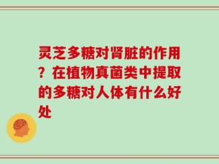 灵芝多糖对肾脏的作用？在植物真菌类中提取的多糖对人体有什么好处