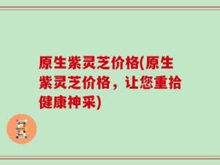 原生紫灵芝价格(原生紫灵芝价格，让您重拾健康神采)
