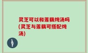 灵芝可以和莲藕炖汤吗(灵芝与莲藕可搭配炖汤)