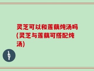 灵芝可以和莲藕炖汤吗(灵芝与莲藕可搭配炖汤)