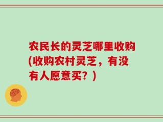 农民长的灵芝哪里收购(收购农村灵芝，有没有人愿意买？)