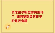 灵芝孢子粉怎样辨别坏了_如何鉴别灵芝孢子粉是否变质