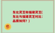 东北灵芝和福建灵芝(东北与福建灵芝对比：品质如何？)