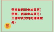 燕窝和西洋参加灵芝(燕窝、西洋参与灵芝：三种珍贵食材的健康益处)