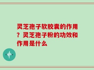 灵芝孢子软胶囊的作用？灵芝孢子粉的功效和作用是什么