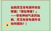 仙鹤灵芝龙龟摆件放在哪里(「摆在哪里？」——带有神秘气息的仙鹤、灵芝和龙龟摆件该如何摆放？)