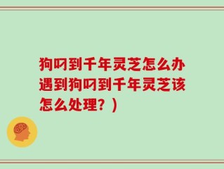 狗叼到千年灵芝怎么办遇到狗叼到千年灵芝该怎么处理？)