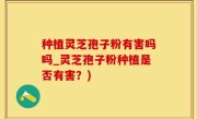 种植灵芝孢子粉有害吗吗_灵芝孢子粉种植是否有害？)