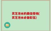 灵芝泡水的最佳搭档(灵芝泡水必备配伍)