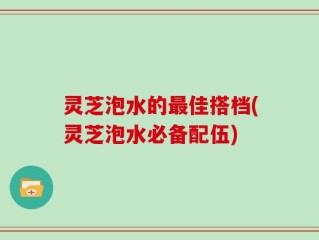 灵芝泡水的最佳搭档(灵芝泡水必备配伍)
