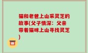 猫和老爸上山采灵芝的故事(父子情深：父亲带着猫咪上山寻找灵芝)