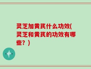 灵芝加黄芪什么功效(灵芝和黄芪的功效有哪些？)