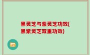 黑灵芝与紫灵芝功效(黑紫灵芝双重功效)