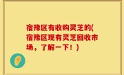 宿豫区有收购灵芝的(宿豫区现有灵芝回收市场，了解一下！)