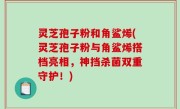灵芝孢子粉和角鲨烯(灵芝孢子粉与角鲨烯搭档亮相，神挡杀菌双重守护！)
