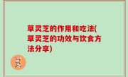 草灵芝的作用和吃法(草灵芝的功效与饮食方法分享)