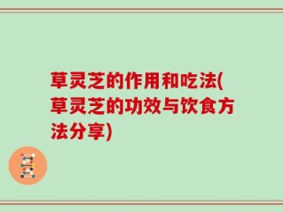 草灵芝的作用和吃法(草灵芝的功效与饮食方法分享)