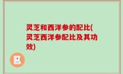 灵芝和西洋参的配比(灵芝西洋参配比及其功效)