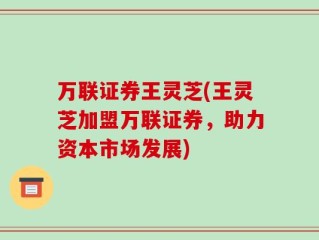 万联证券王灵芝(王灵芝加盟万联证券，助力资本市场发展)