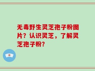 无毒野生灵芝孢子粉图片？认识灵芝，了解灵芝孢子粉？