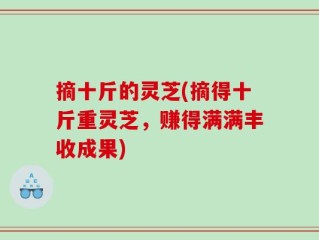 摘十斤的灵芝(摘得十斤重灵芝，赚得满满丰收成果)