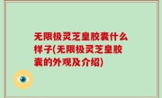 无限极灵芝皇胶囊什么样子(无限极灵芝皇胶囊的外观及介绍)