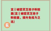 宫諾破壁灵芝孢子粉胶囊(宫諾破壁灵芝孢子粉胶囊，提升免疫力之选)