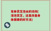 党参灵芝泡水的功效(浸泡灵芝，这是改善身体健康的好方法)