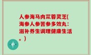 人参海马肉苁蓉灵芝(海参人参苦参多效丸：滋补养生调理健康生活。)
