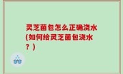 灵芝菌包怎么正确浇水(如何给灵芝菌包浇水？)