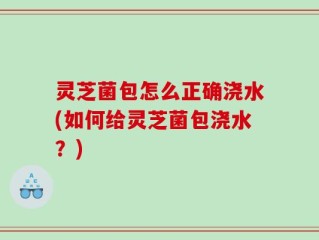 灵芝菌包怎么正确浇水(如何给灵芝菌包浇水？)