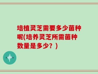 培植灵芝需要多少菌种呢(培养灵芝所需菌种数量是多少？)
