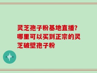 灵芝孢子粉基地直播？哪里可以买到正宗的灵芝破壁孢子粉