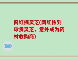 网红摘灵芝(网红拣到珍贵灵芝，意外成为药材收购商)