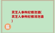 灵芝人参枸杞根泡酒(灵芝人参枸杞根浸泡酒)