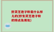 野灵芝孢子粉是什么样儿的(野生灵芝孢子粉的特点及用处)