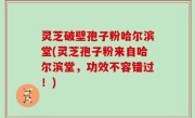 灵芝破壁孢子粉哈尔滨堂(灵芝孢子粉来自哈尔滨堂，功效不容错过！)