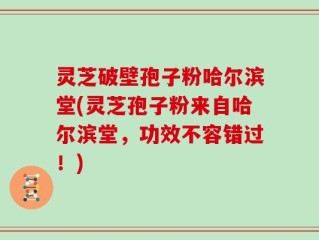 灵芝破壁孢子粉哈尔滨堂(灵芝孢子粉来自哈尔滨堂，功效不容错过！)