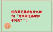 彝良灵芝基地在什么地方(“彝良灵芝基地位于何处？”)