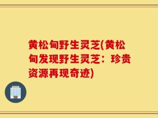 黄松甸野生灵芝(黄松甸发现野生灵芝：珍贵资源再现奇迹)