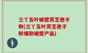 三丫五叶破壁灵芝孢子粉(三丫五叶灵芝孢子粉爆款破壁产品)