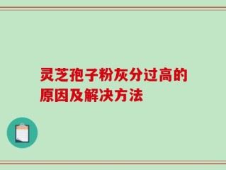 灵芝孢子粉灰分过高的原因及解决方法