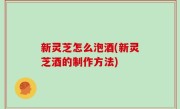 新灵芝怎么泡酒(新灵芝酒的制作方法)