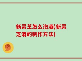 新灵芝怎么泡酒(新灵芝酒的制作方法)