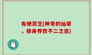 有梗灵芝(神奇的仙草，修身养性不二之选)
