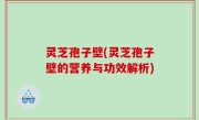 灵芝孢子壁(灵芝孢子壁的营养与功效解析)